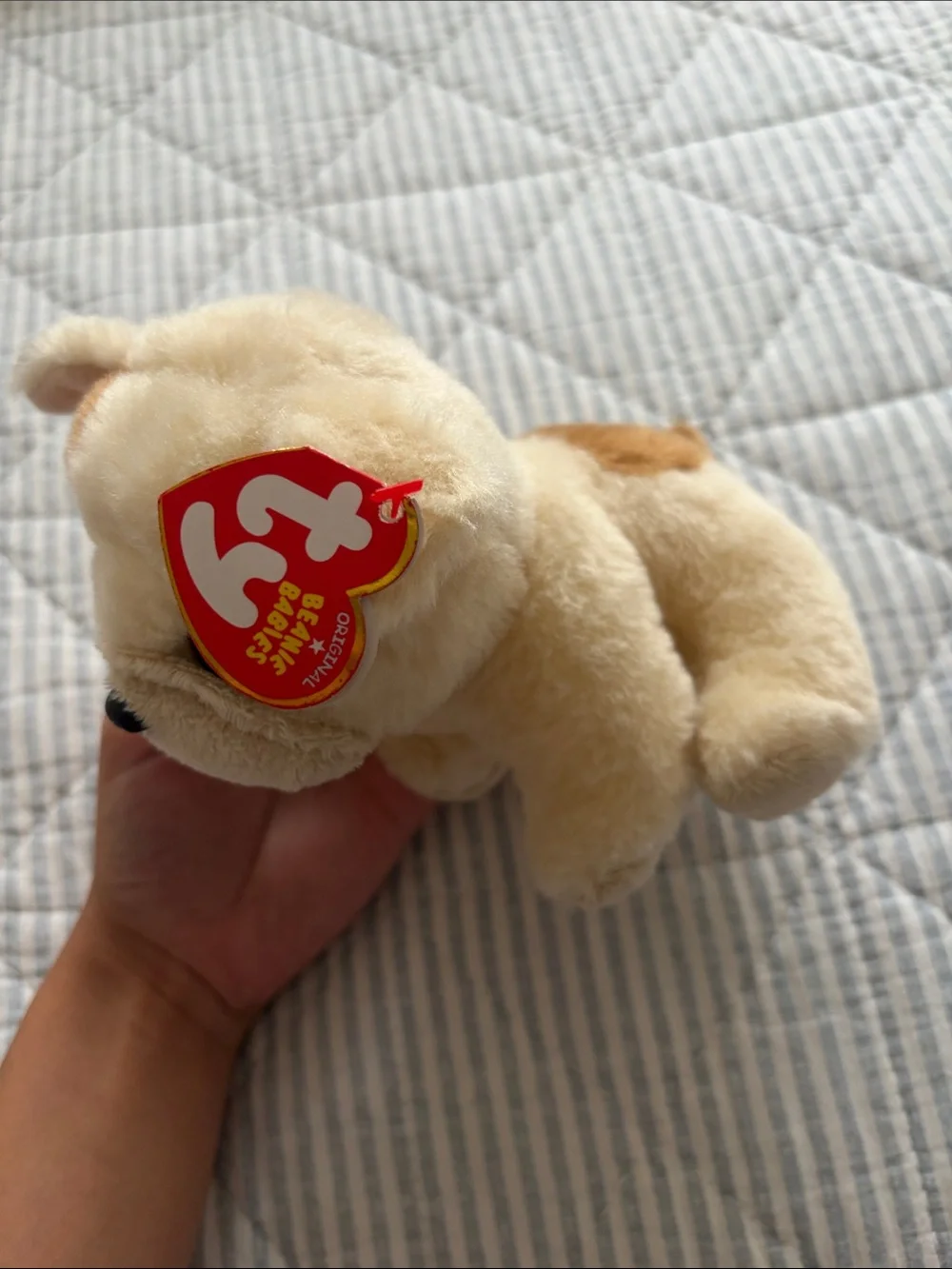 Ty Cream and Brown Plush Dog